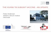 THE H1/H56 TB SUBUNIT VACCINE - AN UPDATE€¦ · THE H1/H56 TB SUBUNIT VACCINE - AN UPDATE. ... Phase IIa - Safety in TB patients ... Joshua Woodworth Thomas Lindenstrøm