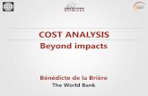 COST ANALYSIS - World Banksiteresources.worldbank.org/EXTHDOFFICE/Resources/... · 2012-06-20 · Very little cost-benefit analysis in WB projects ... o Nominal vs. purchasing power