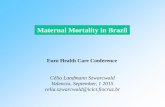 Maternal Mortality in Brazil - omicsgroup.com€¦ · health system with profound changes in health care policies ... magnitude of maternal mortality as well as to assess spatial