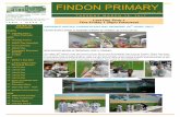 FINDON PRIMARYfindonps.vic.edu.au/uploaded_files/media/term_1_week_9.pdfFINDON PRIMARY Learning for life Cuthbert Drive, MILL PARK. 3082. Telephone: 9404 1362 Fax: 9436 8362. ... lots