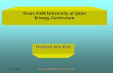 Texas A&M University at Qatar Energy Curriculumpeople.qatar.tamu.edu/shehab.ahmed/NSF Presentations - pdf/Monday... · Texas A&M University at Qatar Energy Curriculum ... RECTIFIER