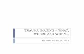 TRAUMA IMAGING –WHAT, WHERE AND WHEN… · WHOLE BODY CT SCAN Retrospective review of German Trauma Registry (4600 patients, ISS>16) Estimated probability of survival on TRISS,