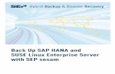 Back Up SAP HANA and SUSE Linux Enterprise Server with … · SUSE Linux Enterprise Server with SEP sesam ... is a comprehensive SAP and SUSE Linux Enterprise Server ... time while