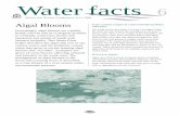 Algal Bloom Fact sheet - Department of Water€¦ · Algal Blooms Increasingly, ... Potentially toxic blue-green blooms of Anabaena, Microcystisand Nodularia have been a regular occurrence
