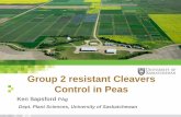 Group 2 resistant Cleavers Control in Peas pdf/Day_1_R… · Winter annual Cleaver Control . Group 2 Resistant Cleavers . • Sulfentrazone (Authority) • Registered in field ...