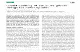 Grand opening of structure-guided design for novel opioidsdolor.org.co/articulos/Guia nuevos opiides.pdf · Grand opening of structure-guided design for novel opioids Marta Filizola1