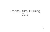 Transcultural Nursing Care - Karachi, Pakistan Sciences... · Transcultural Nursing Research: Promotes cultural knowledge for current practices and future generations of nurses in