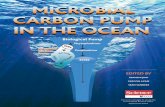 Supplement to Science · The biological pump has also been invoked in studies of the fate of an-thropogenic pollutants entering the ocean, ... degradation are unknown.