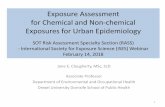 Exposure Assessment for Chemical and Non -chemical ...Attar et al. 1994; Kessler et al. 1998) - Chronic condition (e.g., caregiver stress (Shankardass et al. 2009) - Strong negative