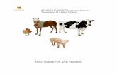 ANSC 3510 FEEDS AND FEEDING - University of Manitoba€¦ · ANSC 3510 FEEDS AND FEEDING . ... Pearson/ Prentice Hall Publishers NRC, 1994. Nutrient Requirements of Poultry ... I