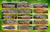 gm-img.s3.amazonaws.com · valley mini chikuwa oyster mushroom rm5.80 yellow stuffed fish roll rm6.80 (8 pcs) thai enoki rm5.80 rm6.80 (8 pcs) surimi shrimp tail rm6.80 (4 pcs) rm6.80