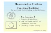 Musculoskeletal Problems Functional limitation - … · 2015-01-11 · Musculoskeletal Problems and ... for the patients, problematic for the health care system, and ... Musculoskeletal