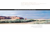 A Report from the New Mexico Bureau of Geology and Mineral ... · New Mexico Bureau of Geology and Mineral Resources 2000 ... downloading. We are converting ... bureau has been our
