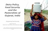 Dairy Policy, Food Security and the Pastoralists of ... · Food Security and the Pastoralists of Gujarat, India ... the practice of rearing animals for milk ... yaks, sheep and goats,