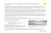 Principles and Practices of Crop Rotation - Saskatchewanpublications.gov.sk.ca/documents/20/85517-principle practices crop... · Principles and Practices of Crop Rotation ... basic