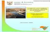 KOMATI CATCHMENT ECOLOGICAL WATER REQUIREMENTS STUDY …. RDM-0604 - Komati - EWR Quantity... · Komati Catchment Ecological Water Requirements Study ... River Hydraulics AL Birkhead