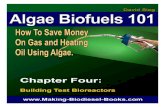 Algae Biofuels master - Making Biodiesel Books.commaking-biodiesel-books.com/.../2016/07/Algae-Biofuels-sample2.pdf · Making Algae Biofuels at Home ... This is a “homemade” algae