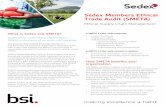 Sedex Members Ethical Trade Audit (SMETA) - BSI Group · Sedex Members Ethical Trade Audit (SMETA) Ethical Supply Chain Management What is Sedex and SMETA? ... on the knowledge that