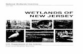Wetlands Of New Jersey - United States Fish and … R.W., Jr. 1985. Wetlands of New Jersey. U.S. Fish and Wildlife Service, National Wetlands Inventory, Newton Comer, MA. 117 pp. Acknowledgements