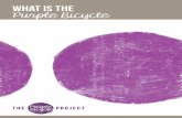 WHAT IS the Purple Bicycle PROJECT? - The University of ... · WHAT IS THE PURPLE BICYCLE PROJECT? 03 ... lifting spirits and encouraging hopeful attitudes. The Purple Bicycle Project