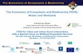 The Economics of Ecosystes and Biodiversity (TEEB): … Economics of Ecosystems and Biodiversity (TEEB): Water and Wetlands ... Soil formation & fertility, ... Bangladesh – Wetland