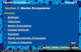 Section 2: Marine Ecosystems - Weeblywestsidescience.weebly.com/uploads/4/0/0/8/40082621/ch07_sec2.pdf · Section 2: Marine Ecosystems ... Aquatic Ecosystems Section 2 Plants and