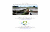 SF PERMEABLE PAVING STONE SYSTEMS - Basalite · SF PERMEABLE PAVING STONE SYSTEMS . By: ... flexible pavement design methodology outlined in the 1993 American Association of State