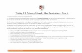Trinity C E Primary School Our Curriculum Year 4 4 curriculum.pdf · 2017-02-15 · Trinity C E Primary School – Our Curriculum – Year 4 ... Why did dinosaurs die out? LC5 –