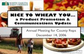 NICE TO WHEAT YOU…resources\599\promo-comm-mcmerty.pdf · Whole Grain Growth 2000-2006 New Product Launches ... z“Grains of Wisdom” – Health ... Dakota Gold Annual Report
