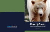 Place of Power - Catalyst Papercatalystpaper.com/sites/default/files/lessons_from the_great_bear... · Place of Power: lessons from the Great Bear rainforest lessons from the Great