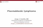 Jorge J. Castillo, MD Assistant Professor of Medicineercongressi.it/slides-lymphoma-conference-2017/24-03/14.Castillo.pdf · Plasmablastic lymphoma Jorge J. Castillo, MD Assistant