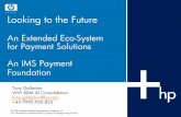 Looking to the Future - … · 2015-09-18 · Looking to the Future An Extended Eco-System for Payment Solutions ... Project-driven, cheap implementation ... Service Provider Layer.