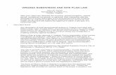 virginia subdivision and site plan law - McCandlish Lillardmccandlishlawyers.com/wp...Subdivision_and_-Site_Plans_Law1.pdf · VIRGINIA SUBDIVISION AND SITE PLAN LAW ... permit, conditional