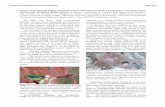 MARS UTAH ROVER FIELD INVESTIGATION 2016 … UTAH ROVER FIELD INVESTIGATION 2016 (MURFI 2016): TARGETING, LOCALIZATION, ... of situ boulders, blue lines = modern alluvial, ...
