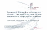 Trademark Protection at home and Abroad. The Madrid … · The Madrid System for the International Registration of Marks ... Changes in the Name and/or Address ... or a letter signed