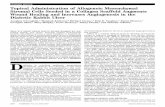 ORIGINAL ARTICLE Topical Administration of Allogeneic ...diabetes.diabetesjournals.org/content/diabetes/62/7/2588.full.pdf · support angiogenesis and augment cutaneous wound clo-sure