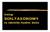 SOILTAXONOMY - Home | NRCS to Identify Hydric Soils. Soil Taxonomy is A basic system of soil classification for ... zGreat Group Cryofluvents Torrifluvents - Torrid (hot and dry)