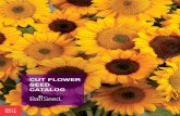 CUT FLOWER SEED CATALOG - Ball Seed Company · Our promise: Ball Seed will always be the easiest distributor for you to do business with. ... • African Marigold (CT) • French