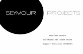 Progress Report DEFENDING THE INNER SPARK …seymourprojects.com/wp-content/uploads/2017/01/progress-report... · subconscious thoughts to consciousness. ... + Visitors discover and