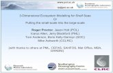 3-Dimensional Ecosystem Modelling for Shelf Seas Or · 3-Dimensional Ecosystem Modelling for Shelf Seas Or ... bringing buoyancy flux, nutrients, SPM ... 50 year forecast of impact