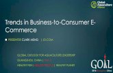 Trends in Business-to-Consumer E- Commerce · Trends in Business-to-Consumer E-Commerce ... targeting similar customer bases with similar product ... Alibaba 10M A 2013