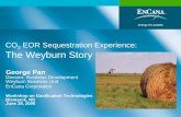 CO2 EOR Sequestration Experience: The Weyburn Story · In the interest of providing EnCana Corporation ... development and acquisition cost is calculated by dividing total capital