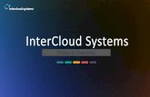 InterCloud Systems - content.equisolve.net · Moreover, the Company operates in a very competitive and rapidly changing ... • ToR the Rack Switches (Juniper, Cisco, Brocade) •