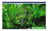 AP Biology Ecosystems excretion, feces ... Plants and algae Plants Urine Land animals Precipitates Aquatic animals ... 11Ch55EcosystemDynamics2006.ppt Author: