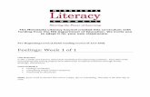 Feelings: Week 1 of 1 - Minnesota Literacy Councilmnliteracy.org/.../feelings_pre-beginning_week_1_of_1.pdf · 2014-03-24 · Teacher dictation script ... Life Skills, Literacy, Listening