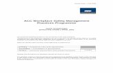 ACC Workplace Safety Management Practices Programme and Safety/Documents/Audit... · ACC Workplace Safety Management ... Critical element one ... * Please refer to the definitions