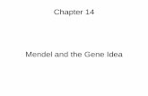 Mendel and the Gene Idea - Valenciafd.valenciacollege.edu/file/nwilliams46/Chapter 14 notes.pdf · Gregor Mendel Gregor Mendel documented a particular mechanism for inheritance. Mendel