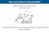 Where and how should we put more salt - Wolf Dynamics · Tips and tricks in OpenFOAM® Where and how should we put more salt 1 … and as this is kind of a cooking recipe, it comes