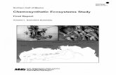 Chemosynthetic Ecosystems Study Final Report Study MMS 95-0021 Northern Gulf of Mexico Chemosynthetic Ecosystems Study Final Report Volume I: Executive Summary Editors Ian R. MacDonald