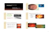 Normal Vitreous Attachments Clinical Vitreous Anatomy -Adventures in the Vitreous.pdf · Normal Vitreous Attachments 3 ... between ILM & hyaloid face – cystic tuft, ... case-series-of-serial-oct-and-time-lapse-morphing-video-